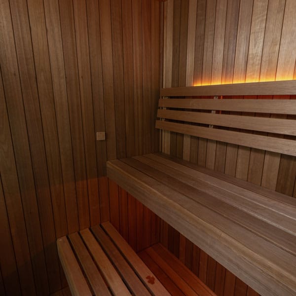 Dundalk CT Element Loft 2–3 Person Indoor Traditional Sauna
