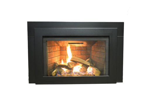 Sierra Flame Abbot 30" Natural Gas Direct Vent Insert Gas Fireplace - black panelling **